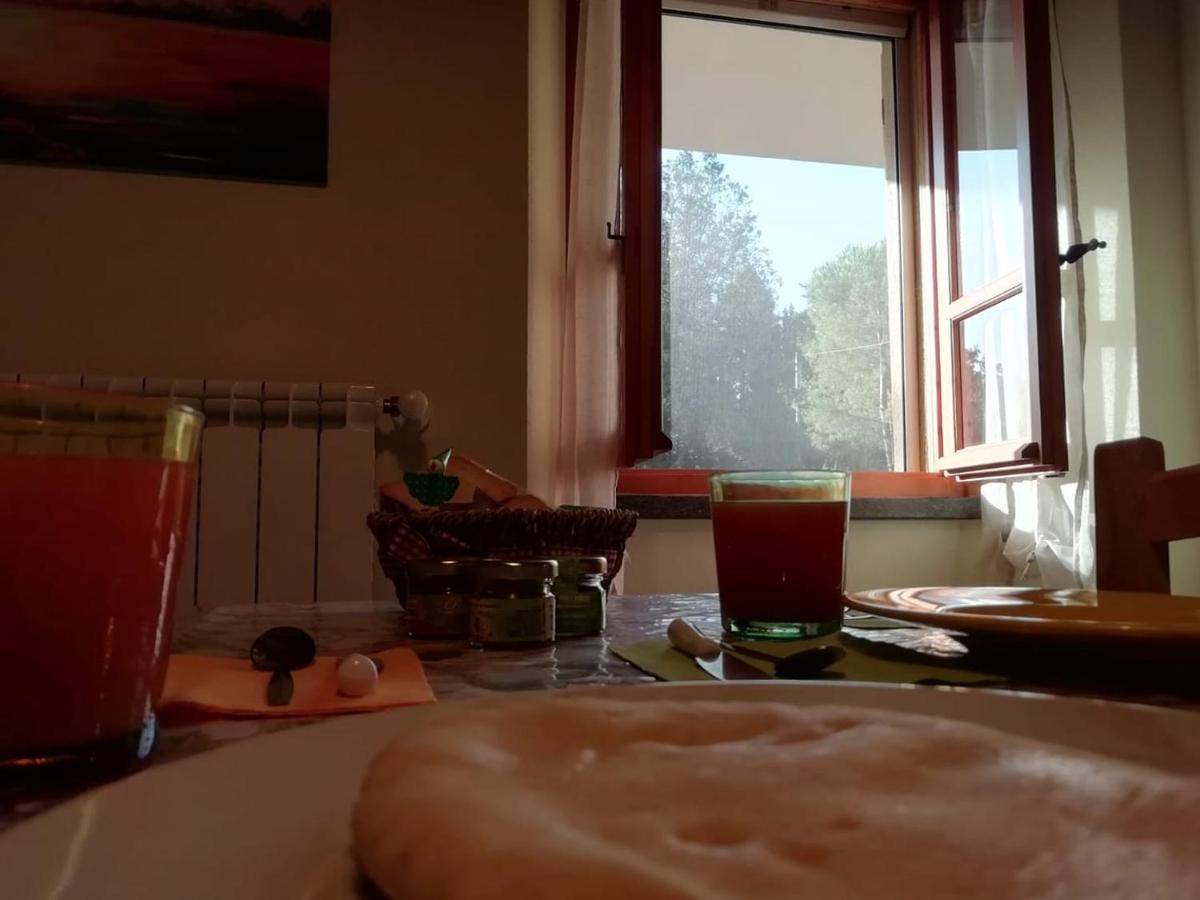 Su Pitiolu - Casa Vacanze Laconi Экстерьер фото