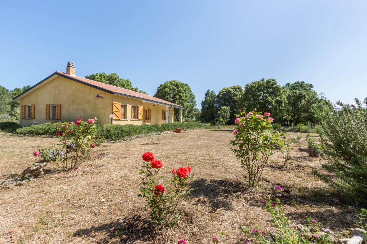 Su Pitiolu - Casa Vacanze Laconi Экстерьер фото