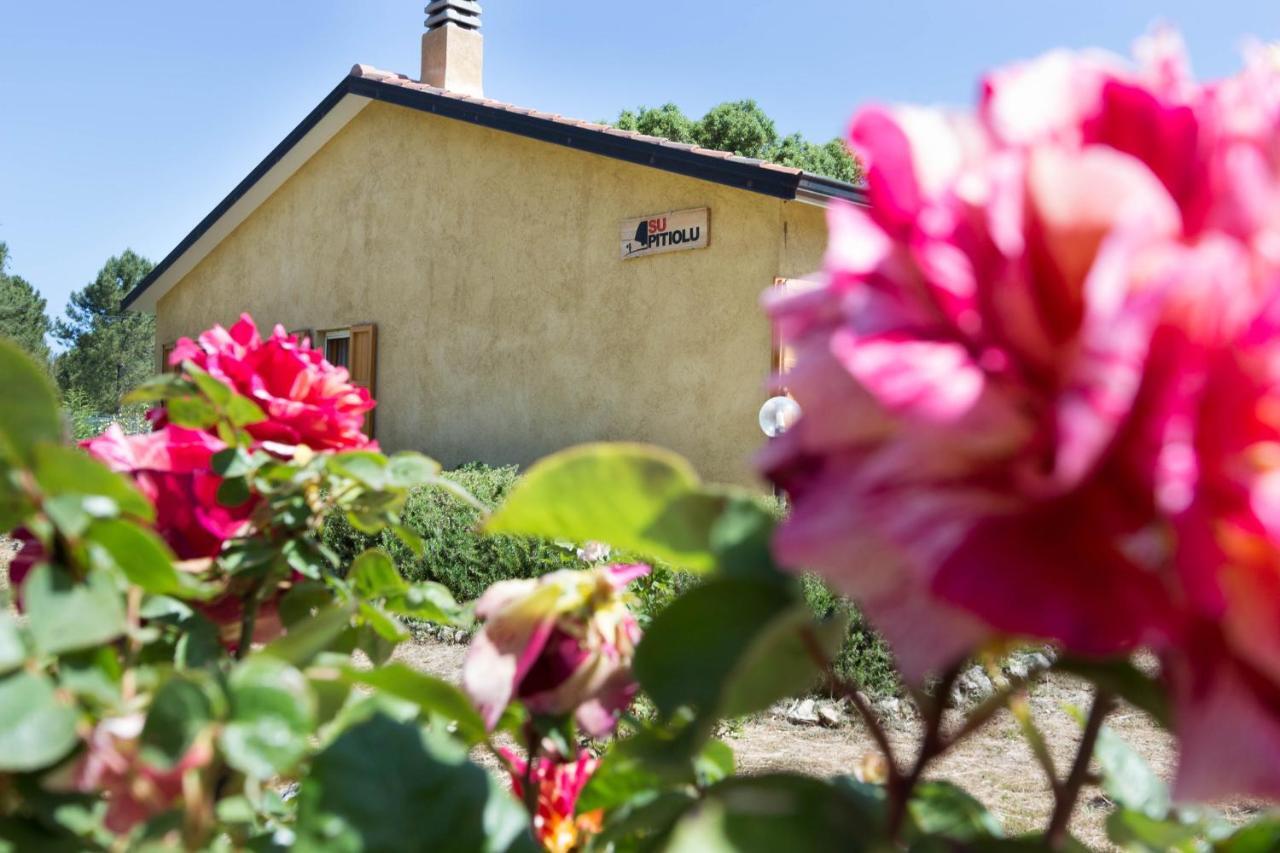 Su Pitiolu - Casa Vacanze Laconi Экстерьер фото